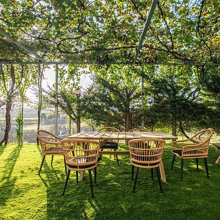Chamomile Apartment Oinofyta Kültér fotó