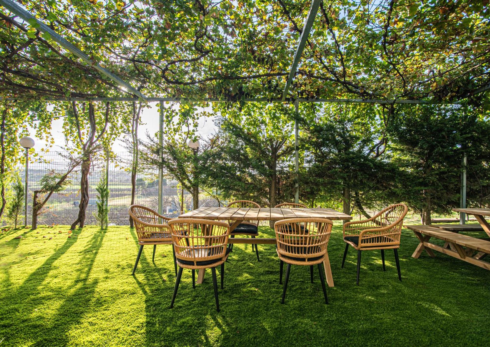 Chamomile Apartment Oinofyta Kültér fotó